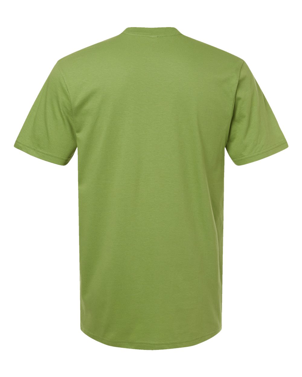 American Apparel 2001 Unisex Fine Jersey Tee in Nephrite, back
