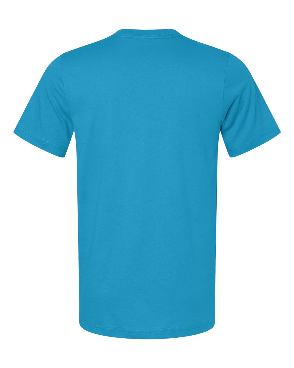 BELLA + CANVAS 3001 Jersey Tee in Aqua, back
