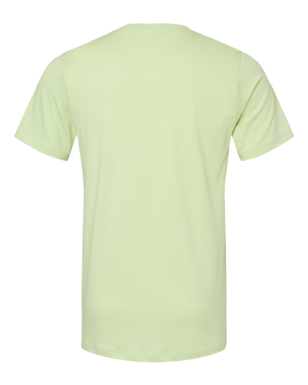 BELLA + CANVAS 3001 Jersey Tee in Spring Green, back