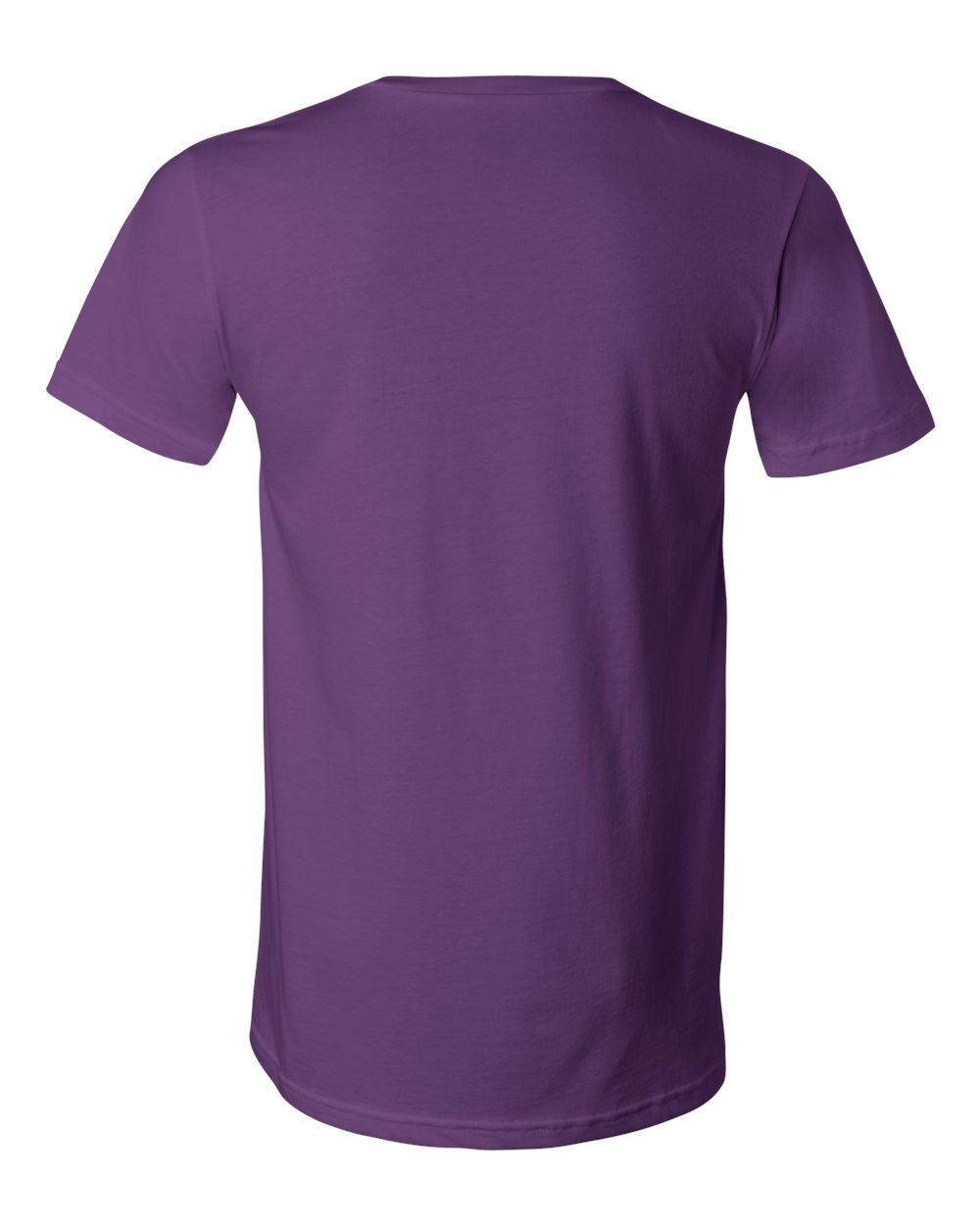 BELLA + CANVAS 3005 Unisex Jersey V-Neck Tee in Team Purple, back
