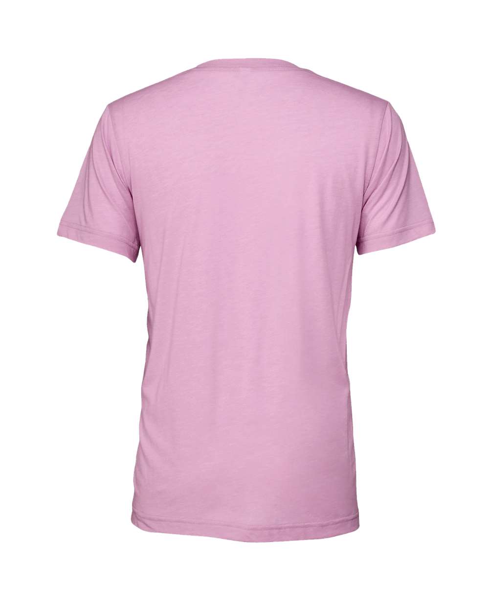 BELLA + CANVAS 3413 Triblend Tee in Lilac Triblend, back