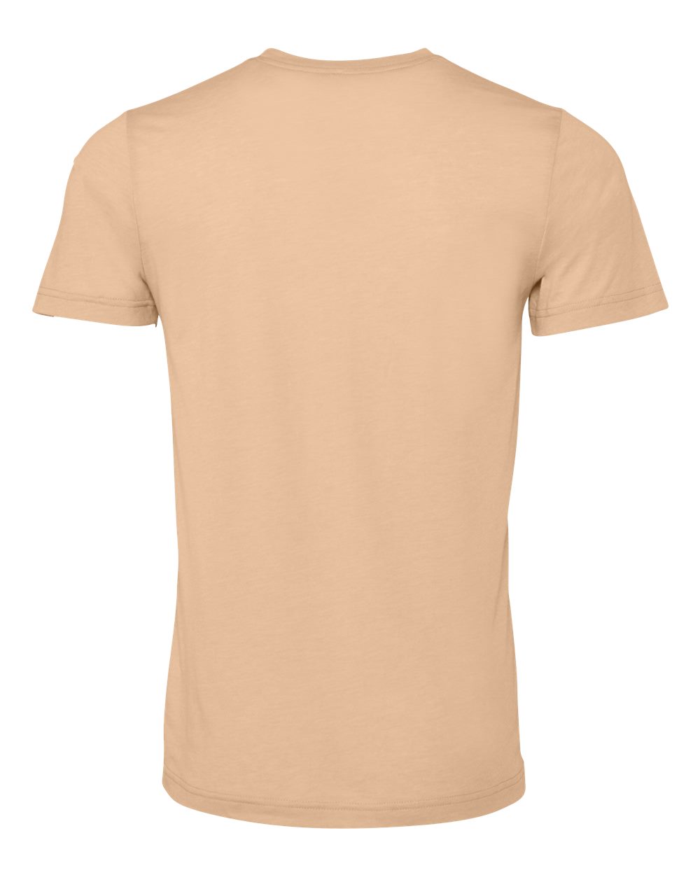 BELLA + CANVAS 3413 Triblend Tee in Sand Dune Triblend, back