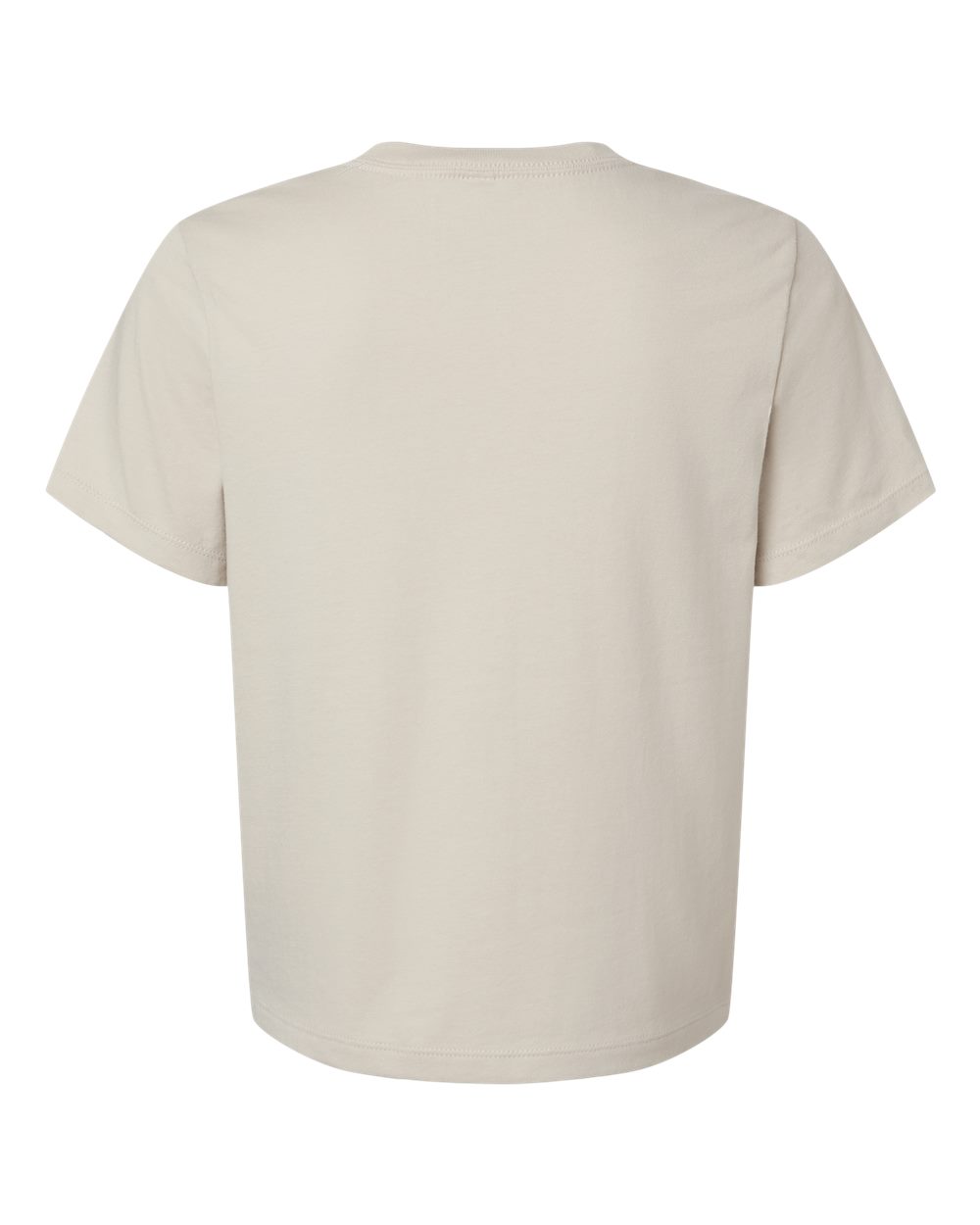 BELLA + CANVAS 6110 Women's 6 oz. Heavyweight Tee in Dust, back