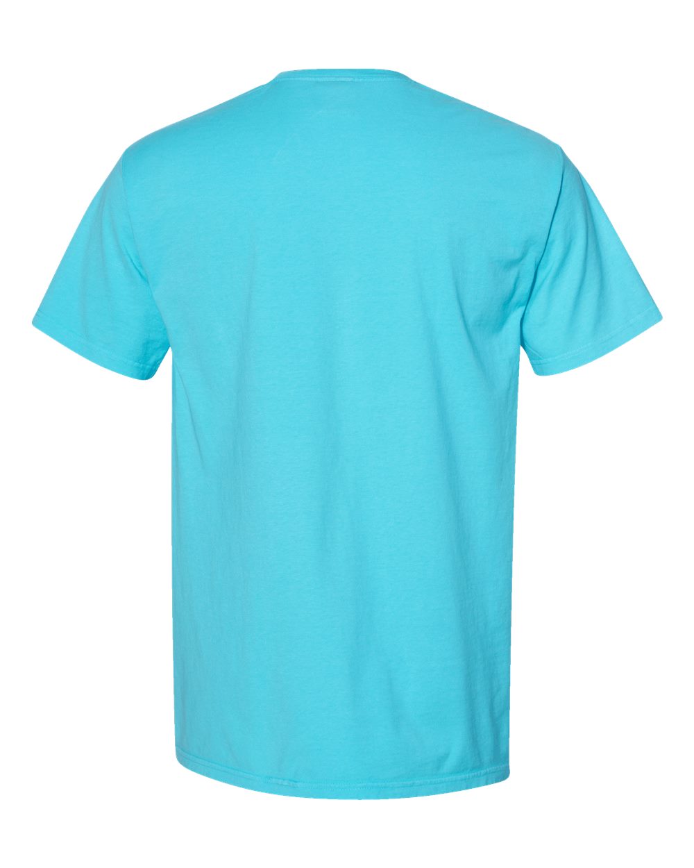 ComfortWash by Hanes GDH100 Men's Garment-Dyed T-Shirt in Freshwater, back