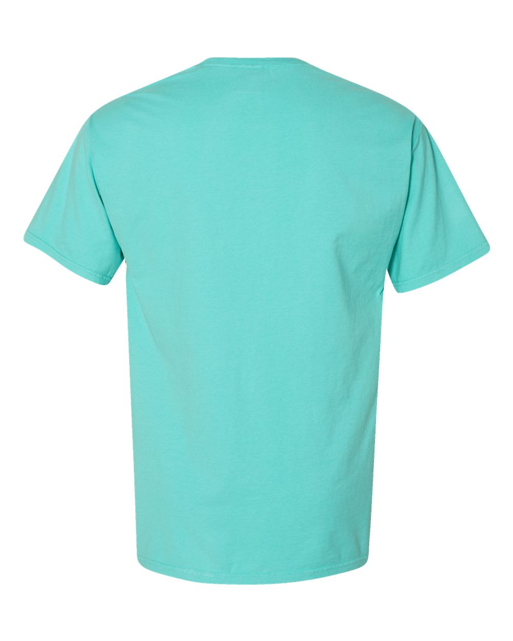 ComfortWash by Hanes GDH100 Men's Garment-Dyed T-Shirt in Mint, back