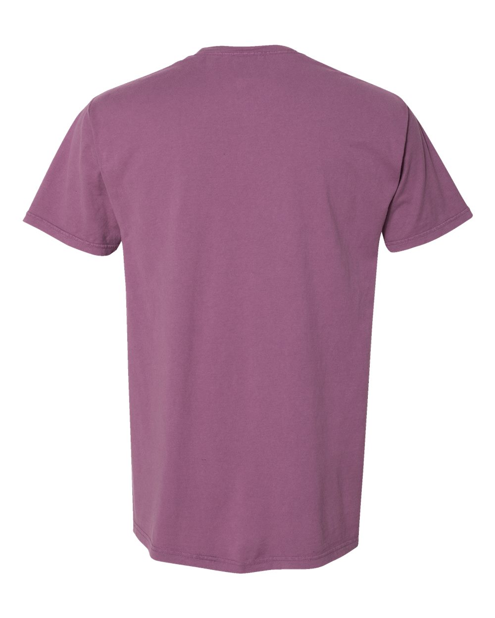 ComfortWash by Hanes GDH100 Men's Garment-Dyed T-Shirt in Purple Plum Raisin, back