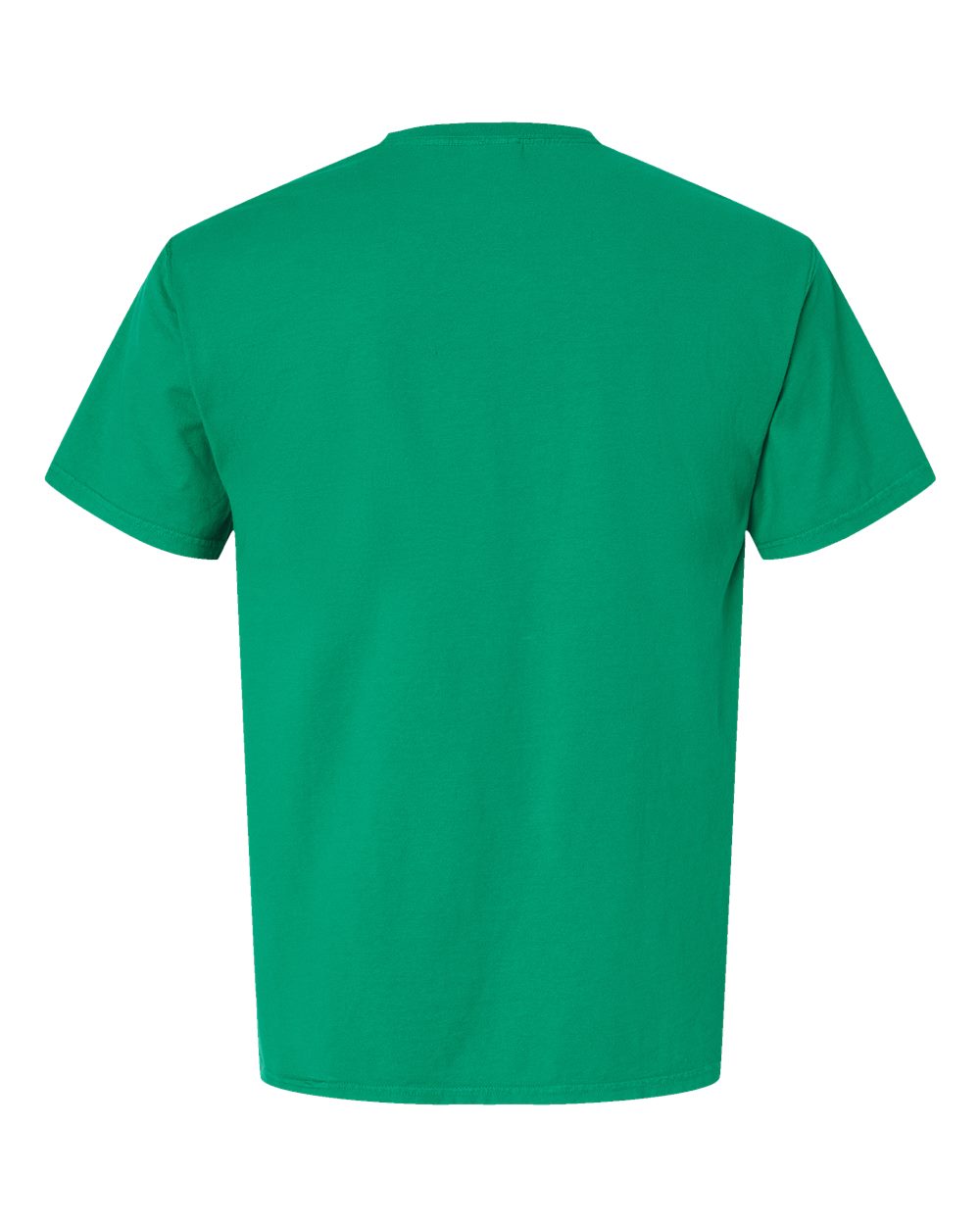 ComfortWash by Hanes GDH100 Men's Garment-Dyed T-Shirt in Rich Green Grass, back