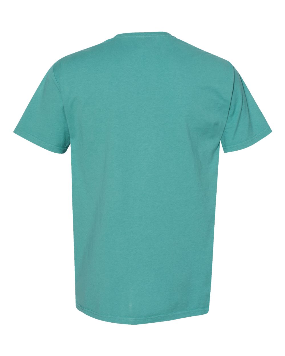 ComfortWash by Hanes GDH100 Men's Garment-Dyed T-Shirt in Spanish Moss, back
