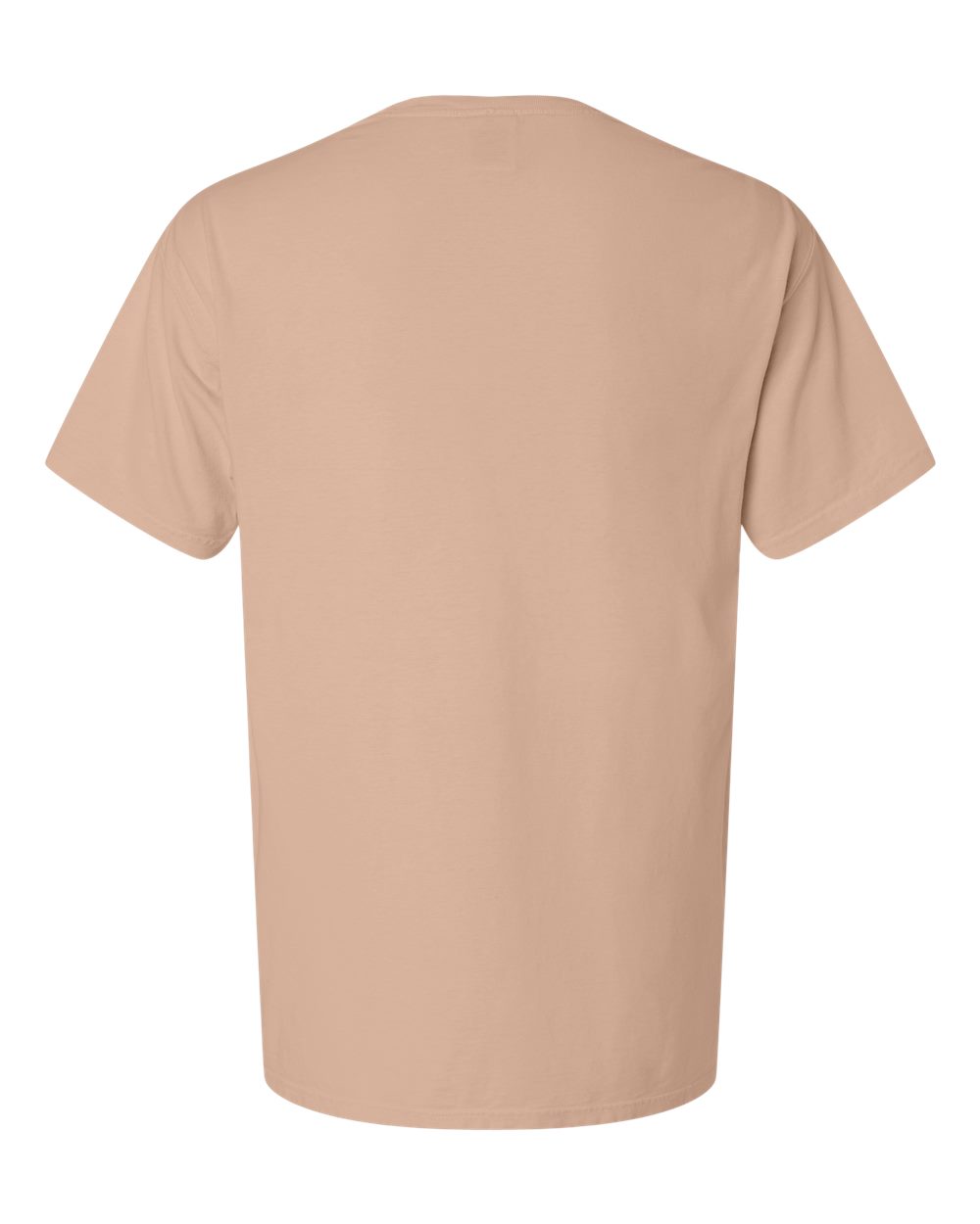ComfortWash by Hanes GDH11B Unisex Botanical Dyed T-Shirt in Botanical Mallow, back