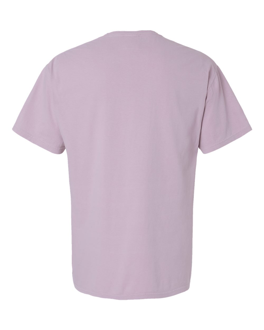 ComfortWash by Hanes GDH11B Unisex Botanical Dyed T-Shirt in Botanical Nimbus, back