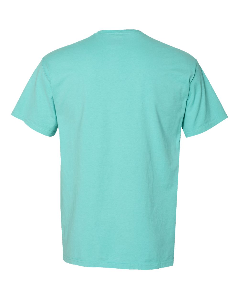 ComfortWash by Hanes GDH150 Unisex Garment-Dyed Pocket T-Shirt in Mint, back