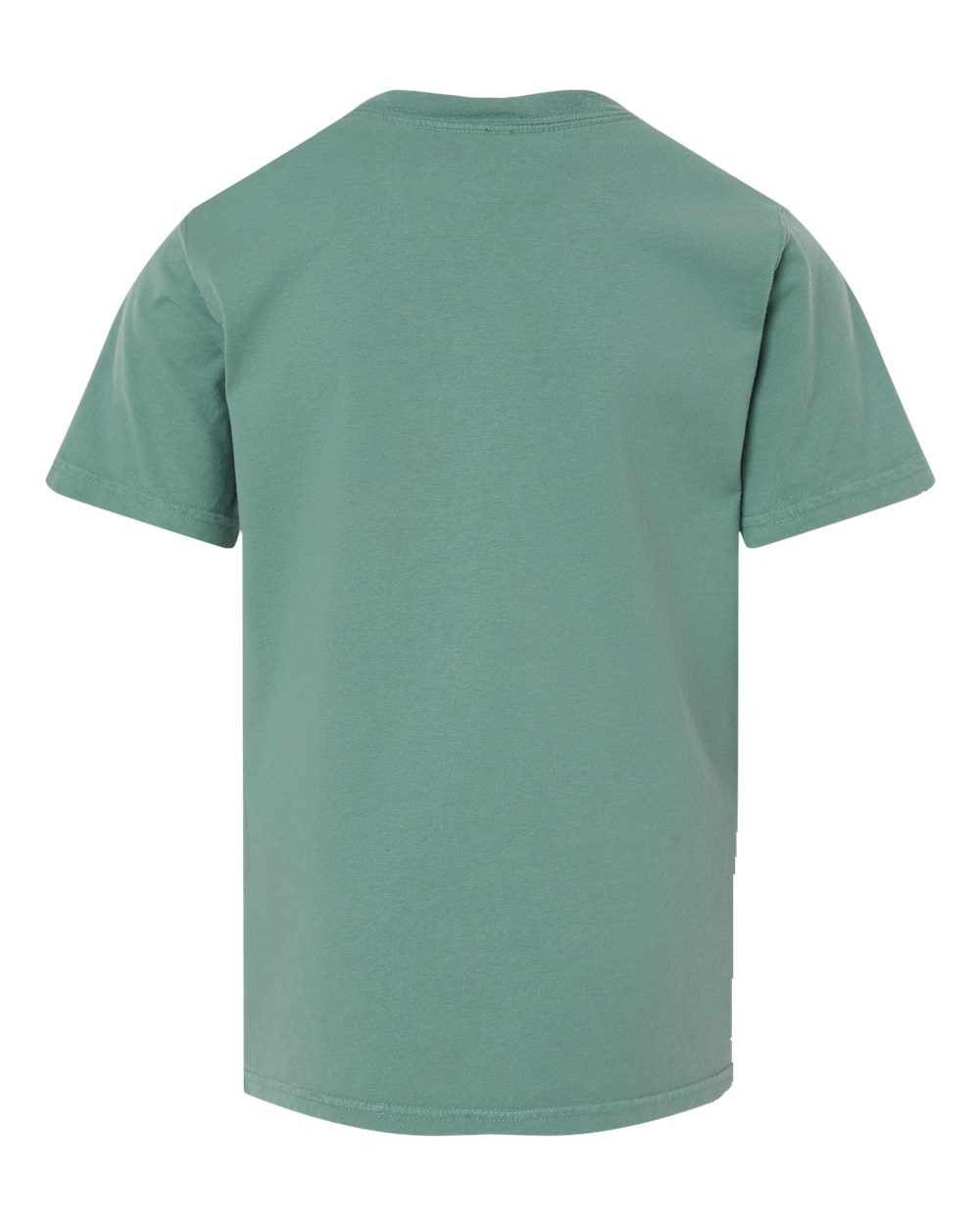 ComfortWash by Hanes GDH175 Youth Garment-Dyed T-Shirt in Cypress Green, back