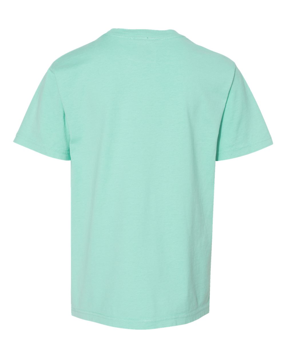 ComfortWash by Hanes GDH175 Youth Garment-Dyed T-Shirt in Honeydew, back