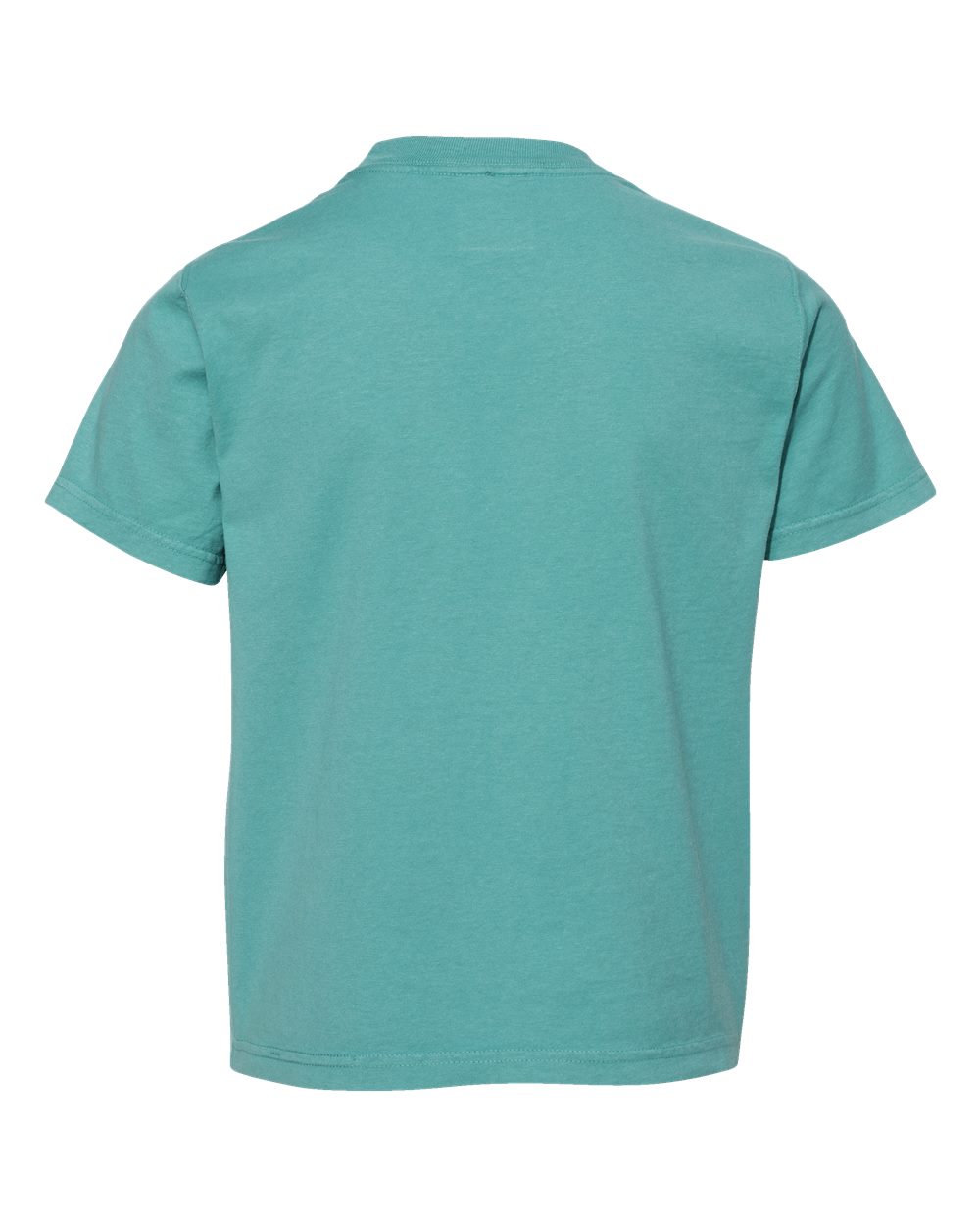 ComfortWash by Hanes GDH175 Youth Garment-Dyed T-Shirt in Spanish Moss, back