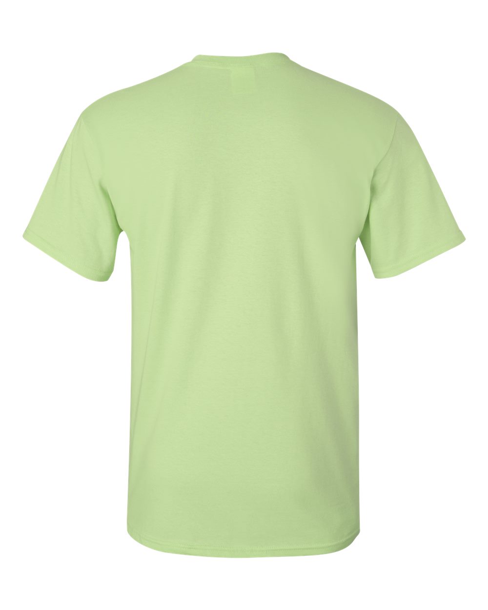 Gildan 2000 Unisex Ultra Cotton® T-Shirt in Pistachio, back