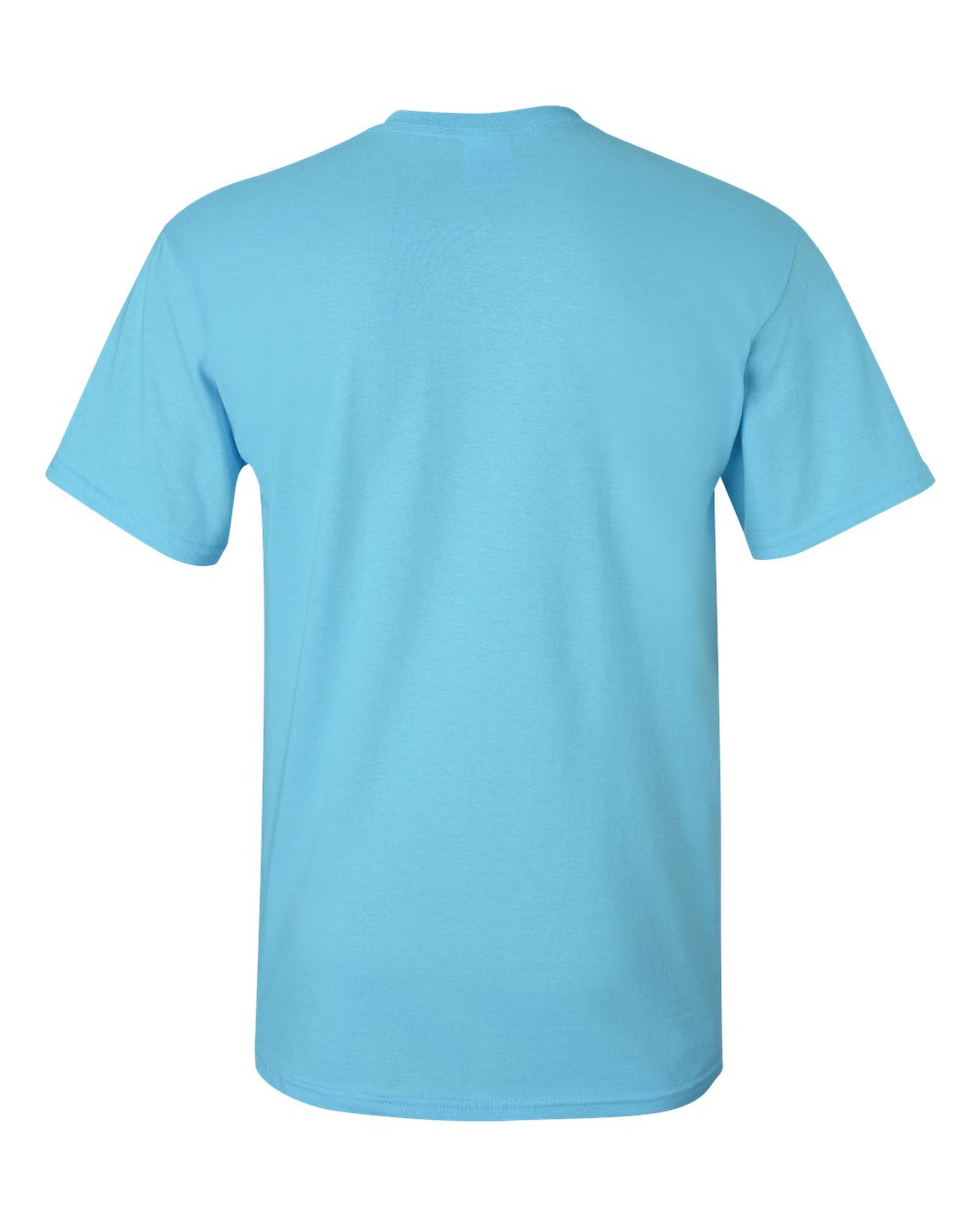 Gildan 2000 Unisex Ultra Cotton® T-Shirt in Sky, back