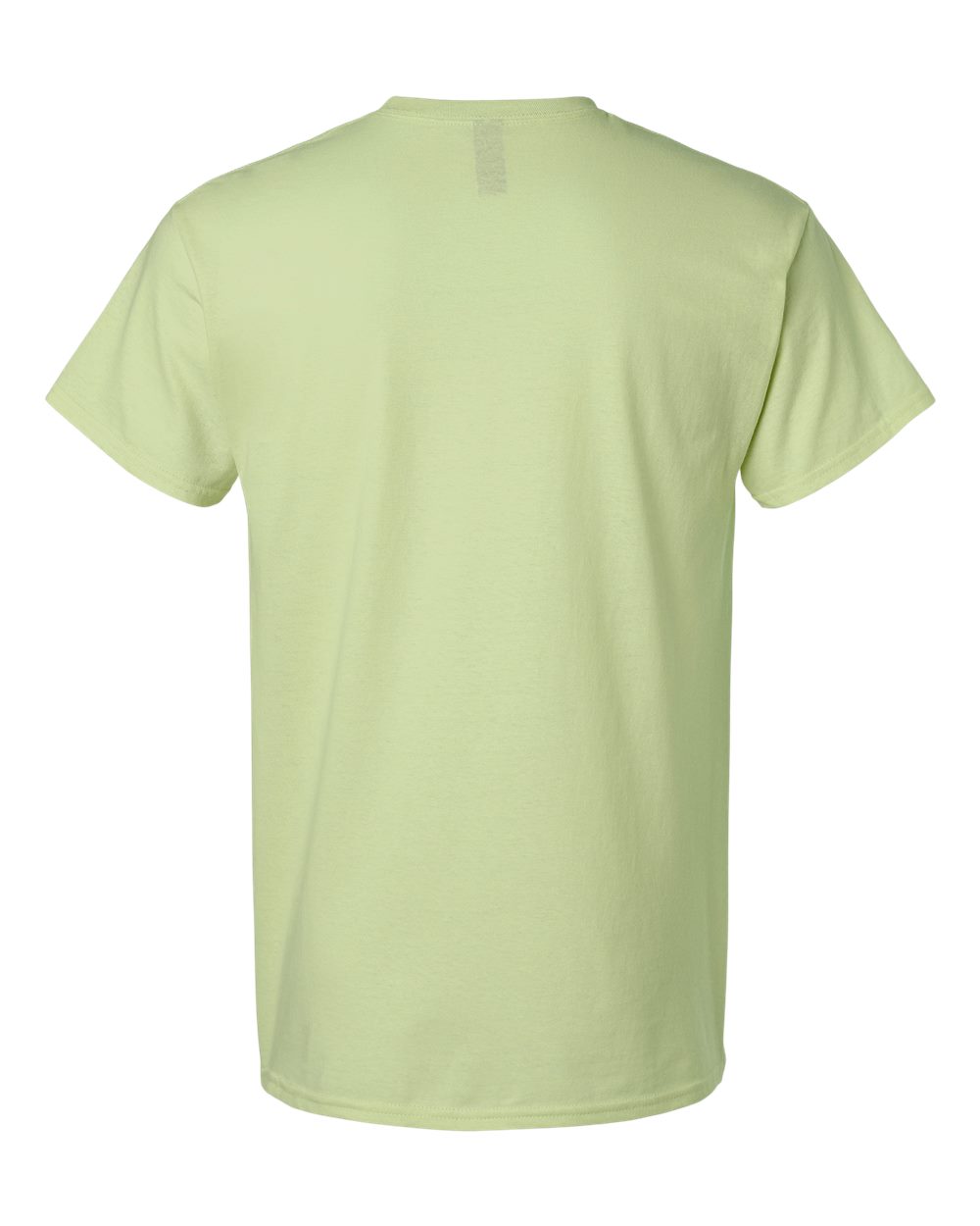Gildan 3000 Unisex Light Cotton T-Shirt in Pistachio, back