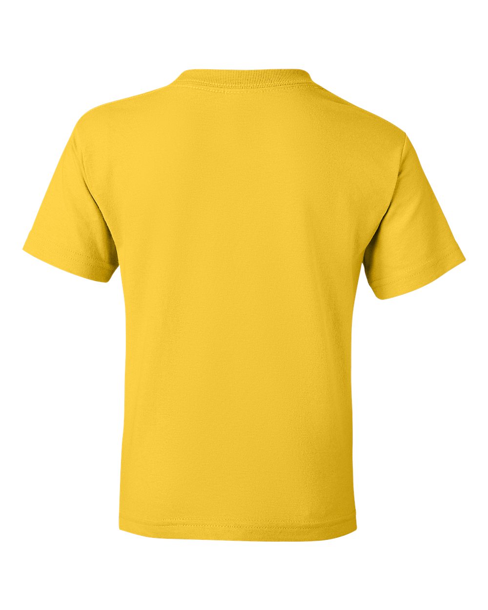 Gildan 8000B Youth DryBlend® T-Shirt in Daisy, back