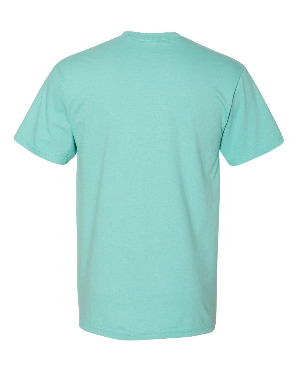Gildan H000 Unisex Hammer™ T-Shirt in Chalky Mint, back