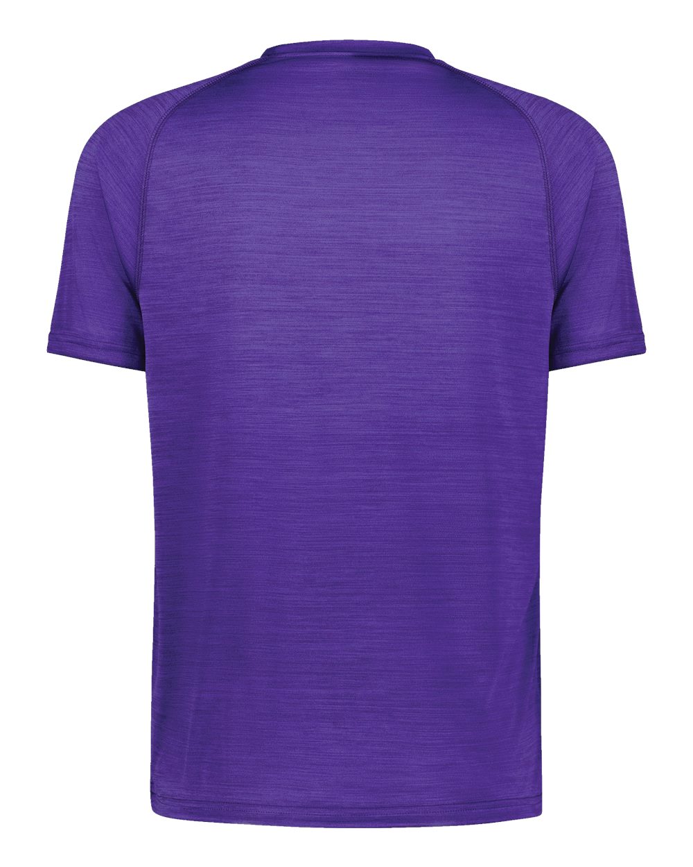 Holloway 222554 Unisex Eco Revive™ All-Pro T-Shirt in Purple Heather, back