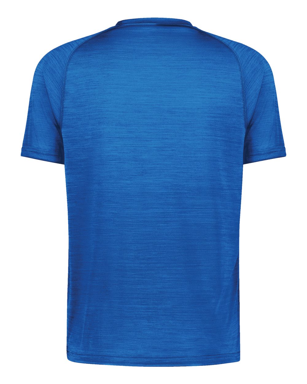Holloway 222654 Youth Eco Revive™ All-Pro T-Shirt in Royal Heather, back
