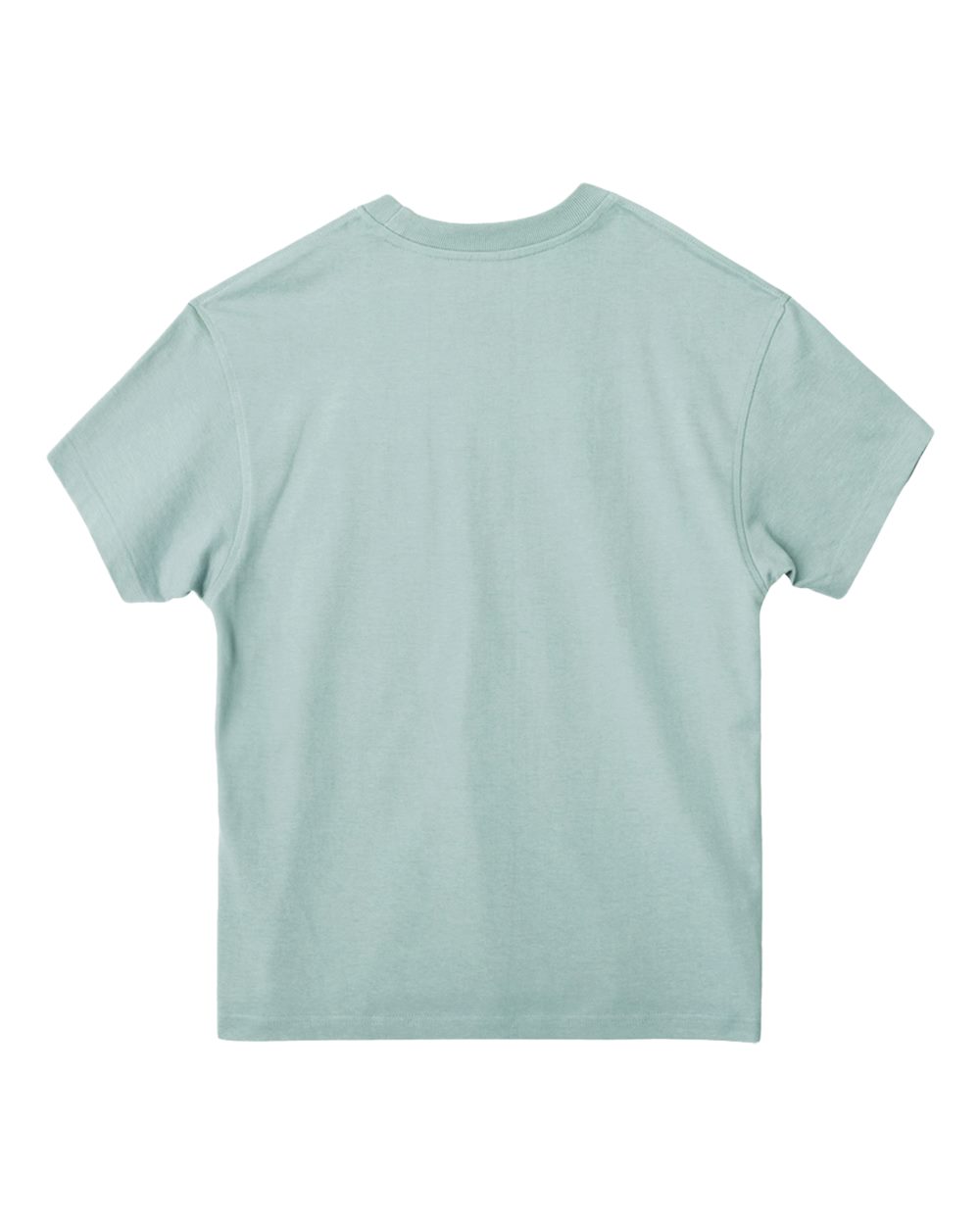 Lane Seven LS17005 Unisex Heavy Core Tee in Arona, back
