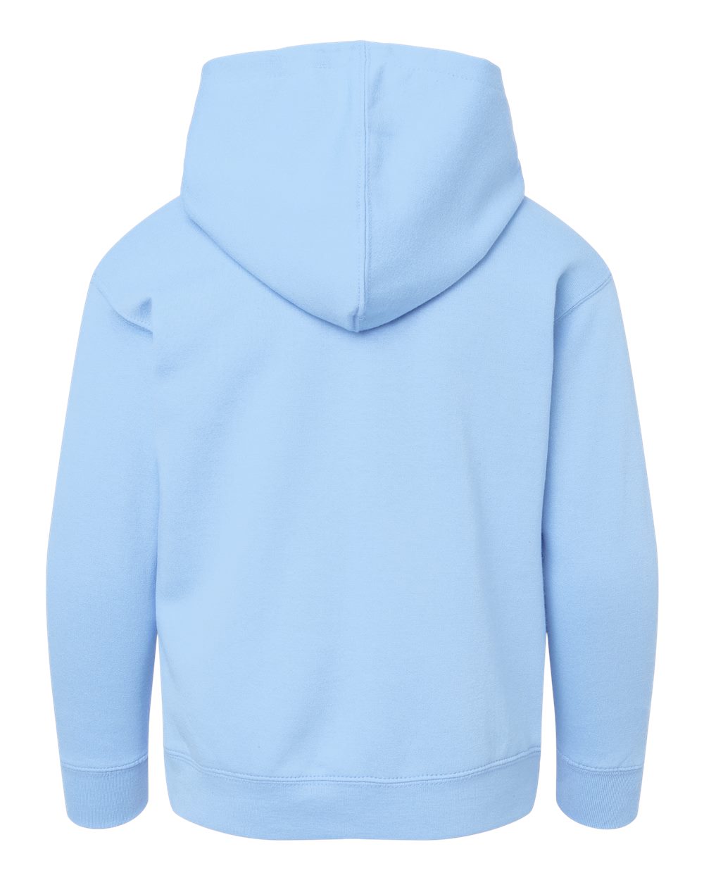 Live & Tell by LAT 2296 Youth Hoodie Sweatshirt in Light Blue, back
