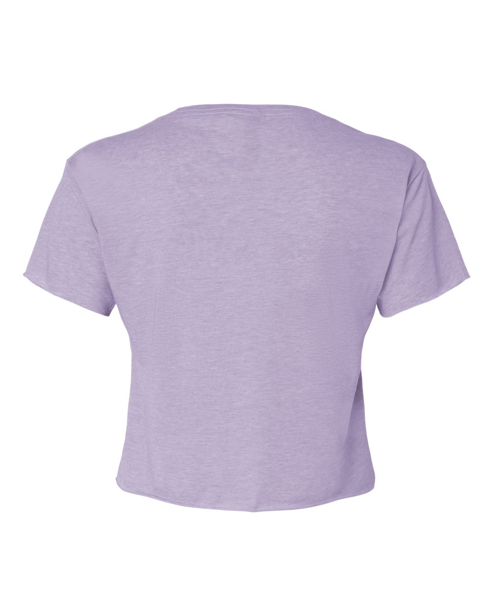 Next Level 5080 Women's Festival Crop Top in Lavender, back
