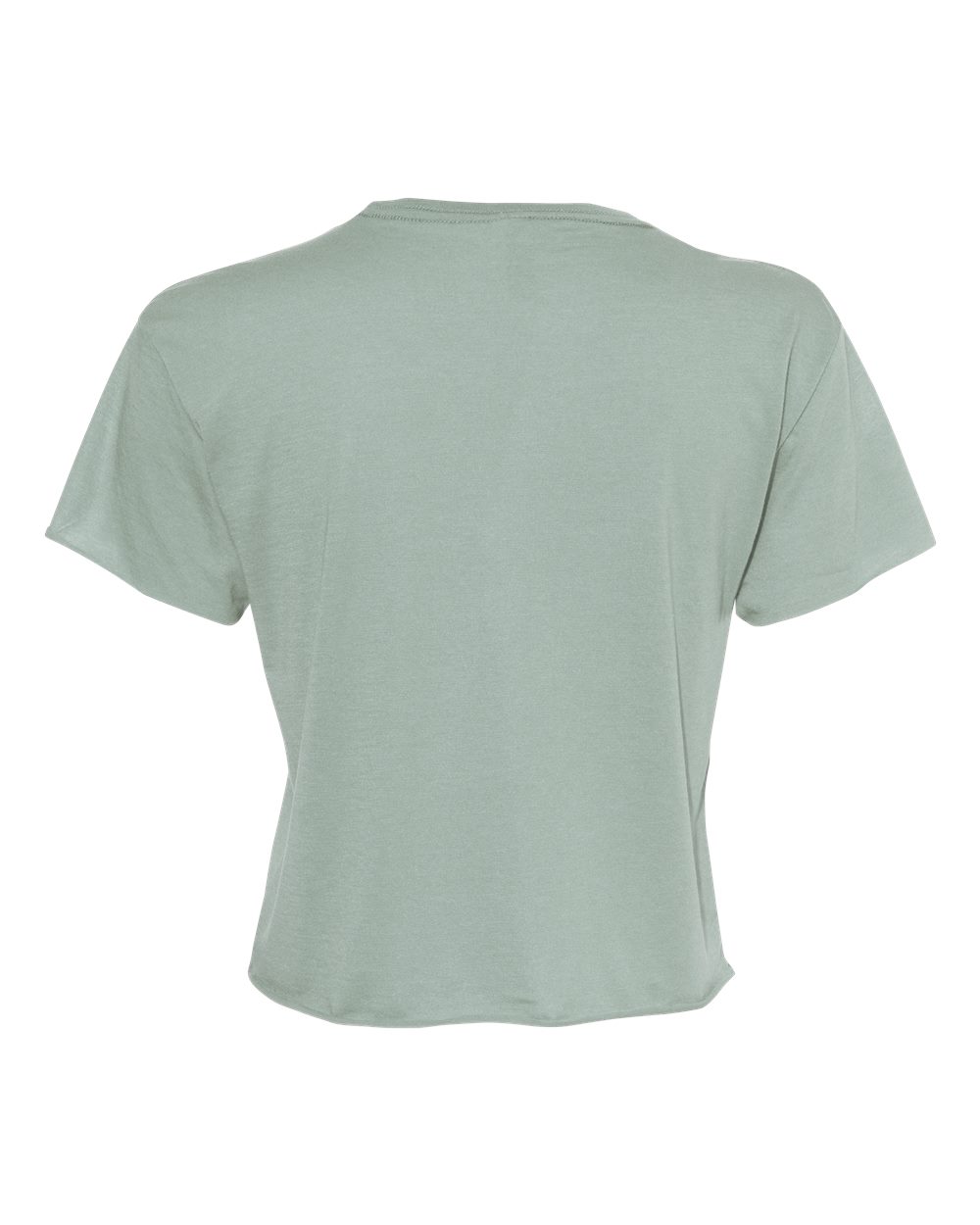 Next Level 5080 Women's Festival Crop Top in Stonewash Green, back