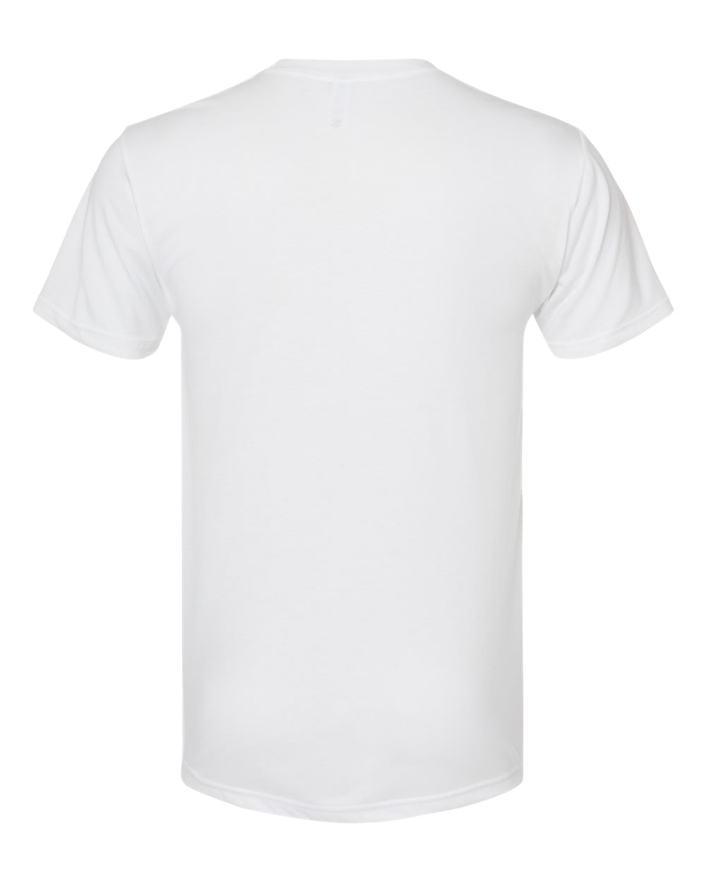 Next Level 6010 Unisex Triblend Tee in White, back