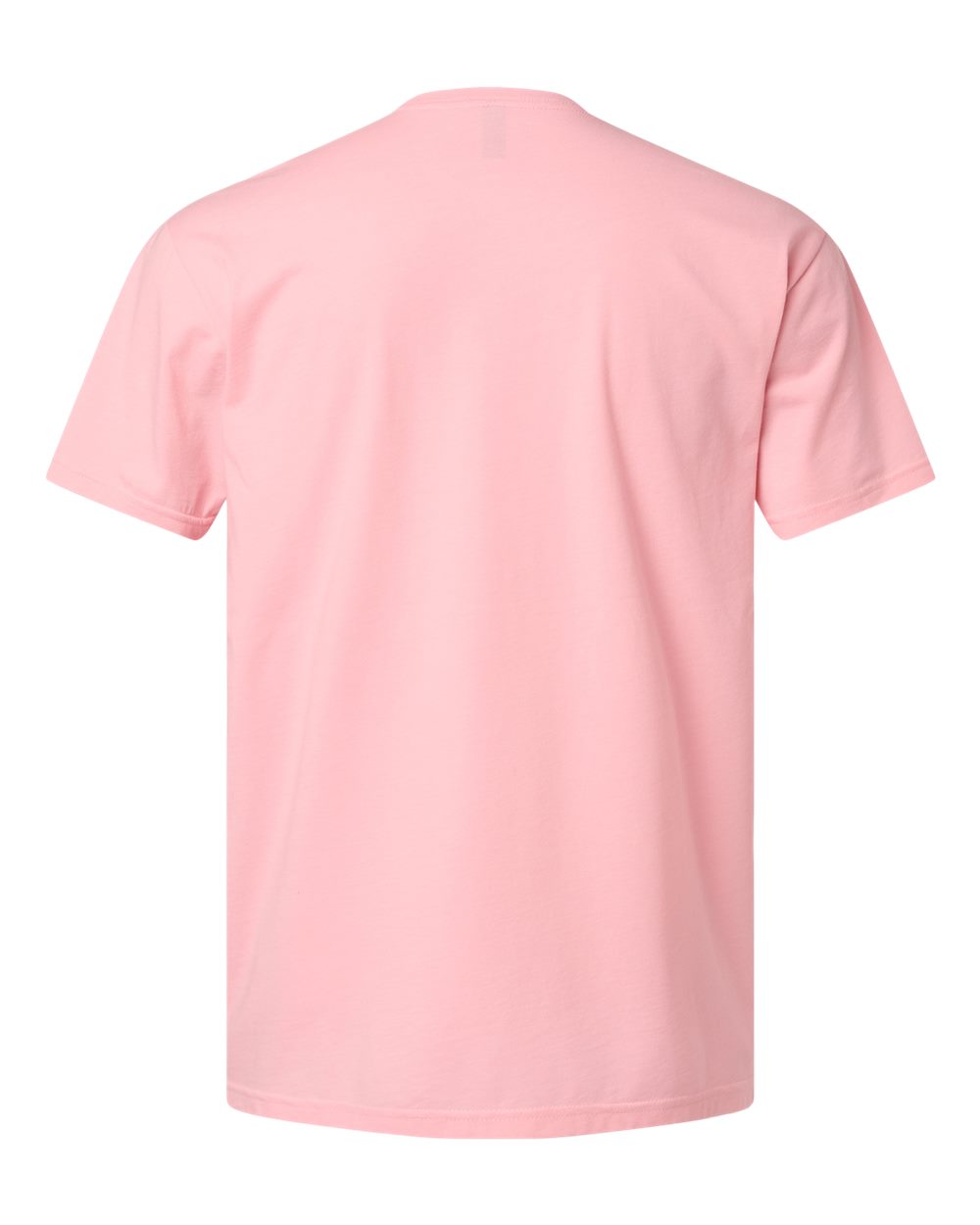 Next Level 6210 Unisex CVC Tee in Heather Light Pink, back