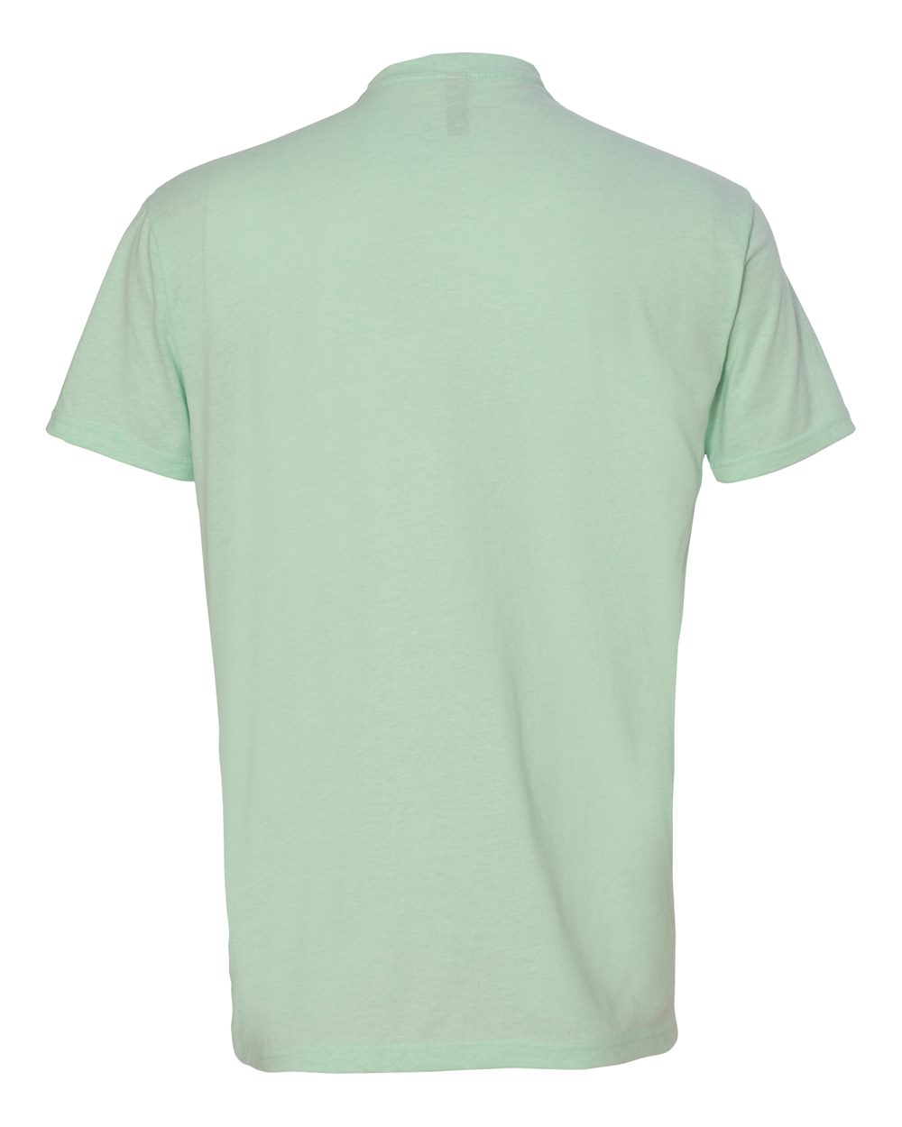 Next Level 6210 Unisex CVC Tee in Mint, back