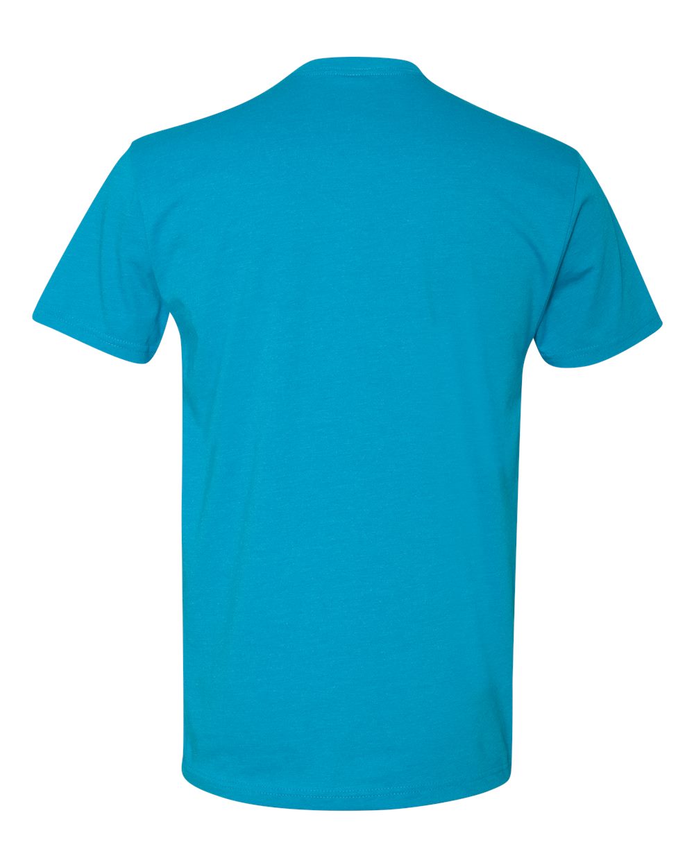 Next Level 6210 Unisex CVC Tee in Turquoise, back