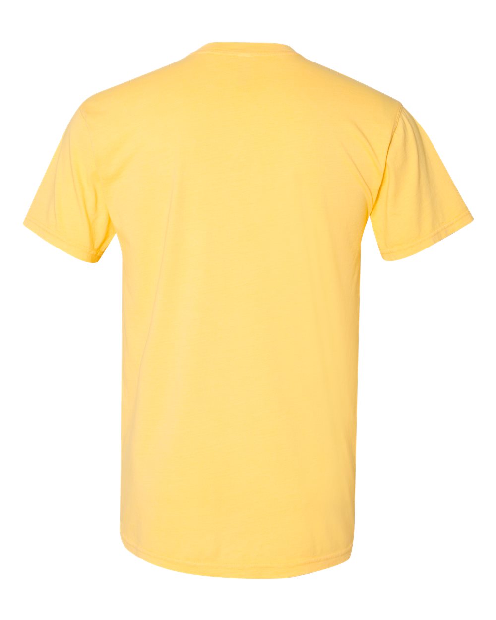 Next Level 7410 Unisex Inspired Dye Tee in Blonde, back