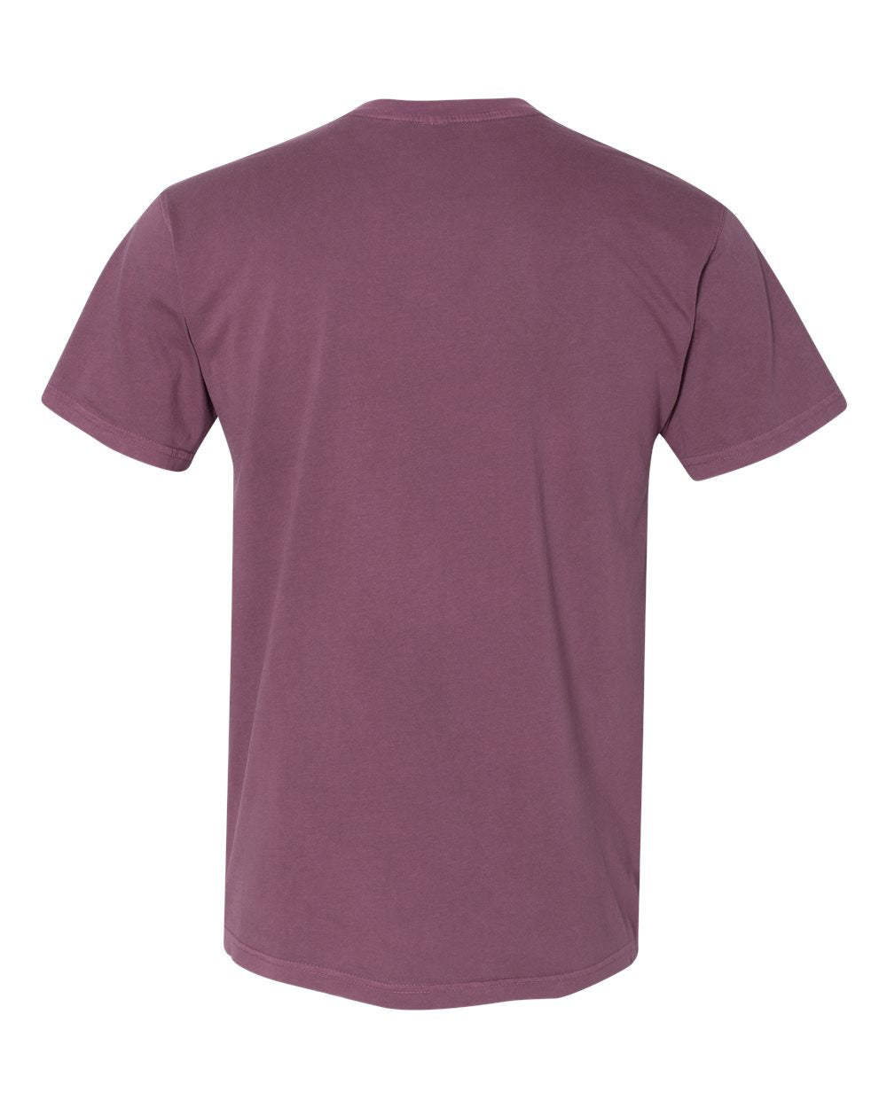 Next Level 7410 Unisex Inspired Dye Tee in Shiraz, back