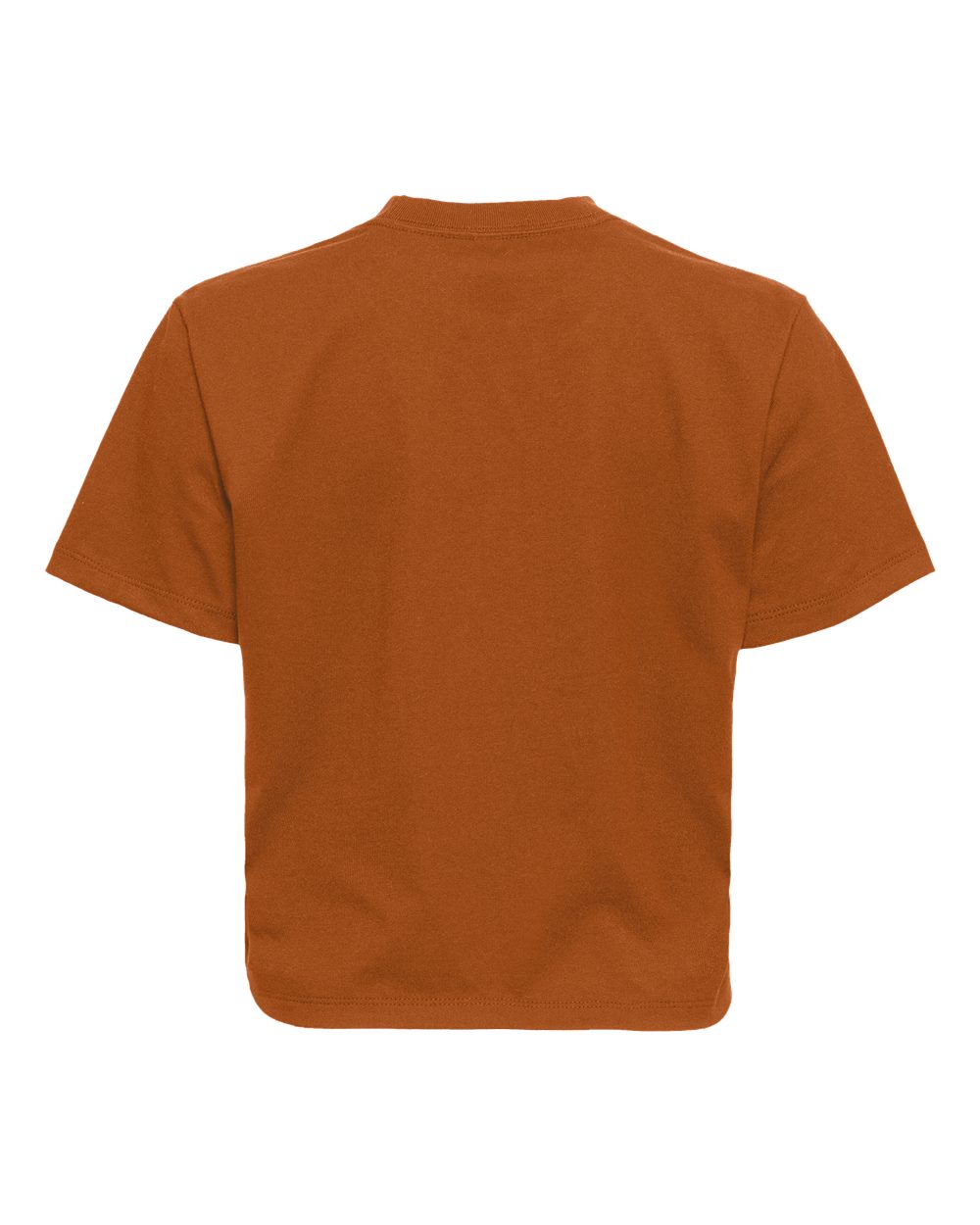 Next Level 7610 Women's Heavyweight Boxy Tee in Clay, back