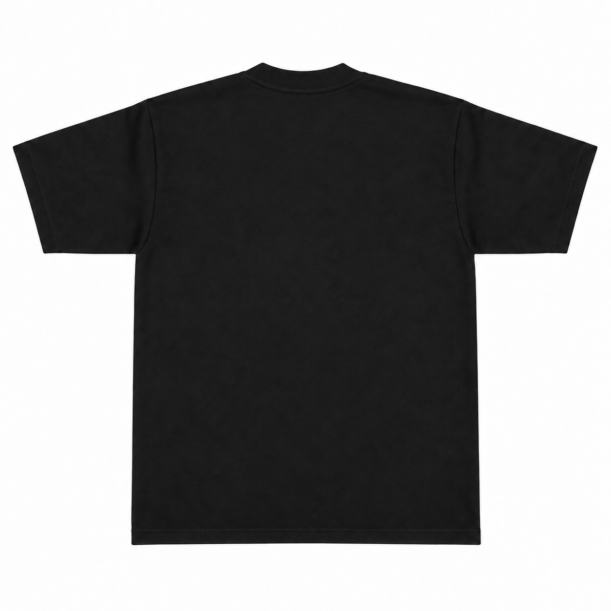 Pro Club T-Shirt Black back