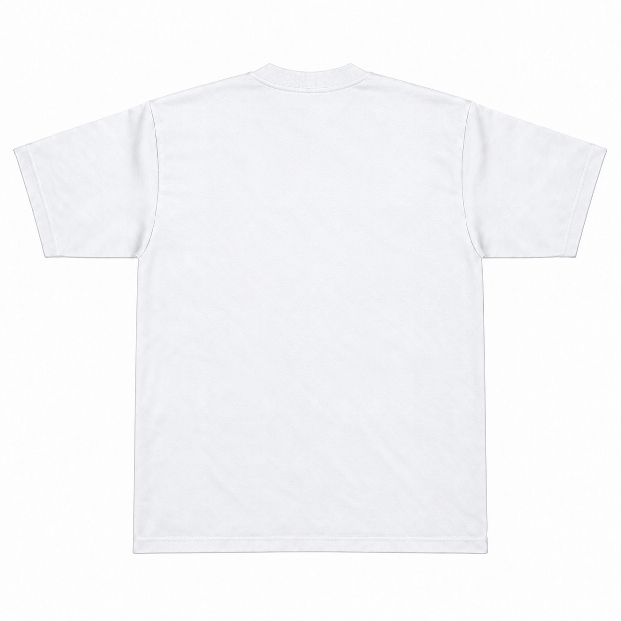 Pro Club T-Shirt White back