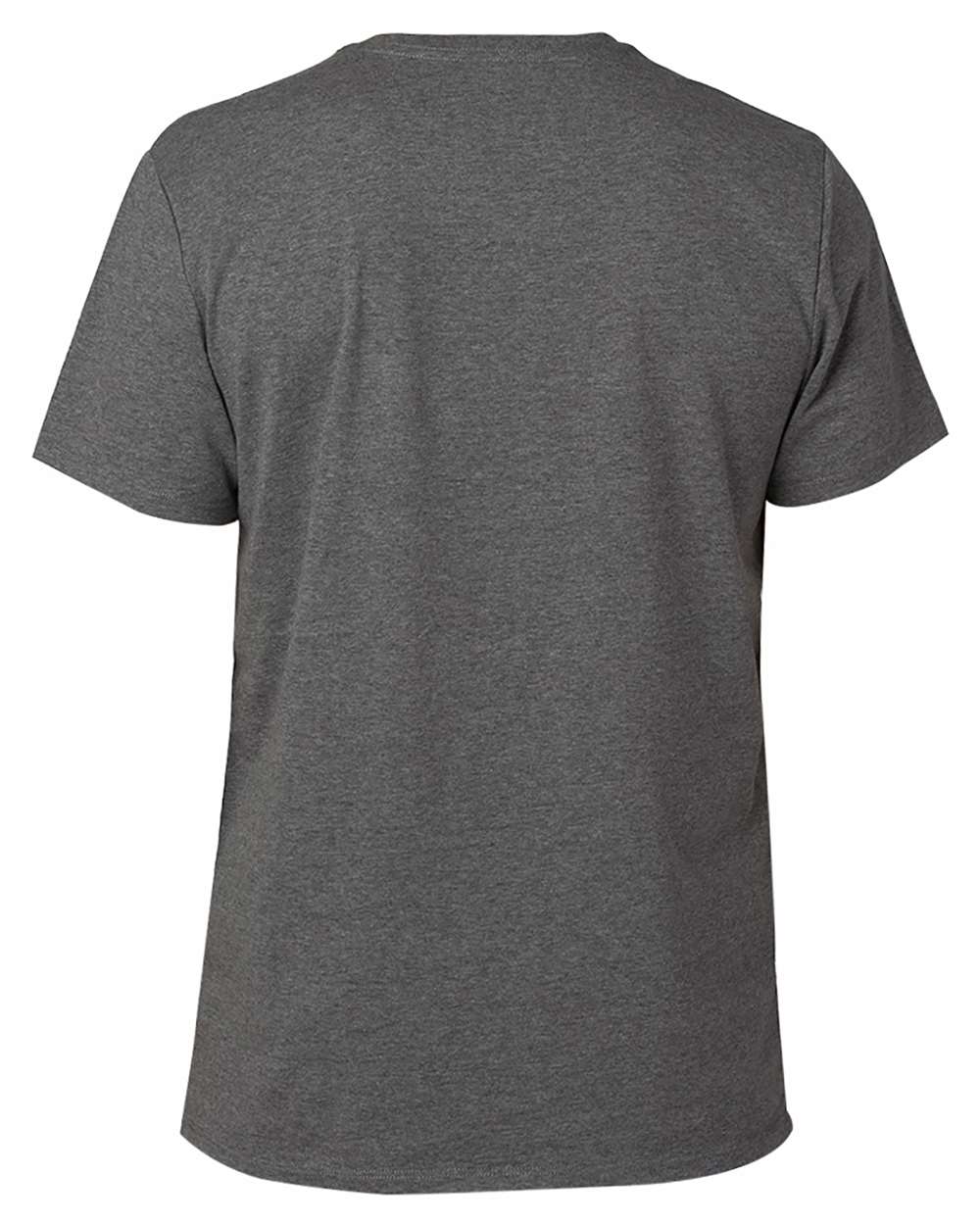 Threadfast Apparel 100A Unisex Ultimate CVC T-Shirt in Charcoal Heather, back