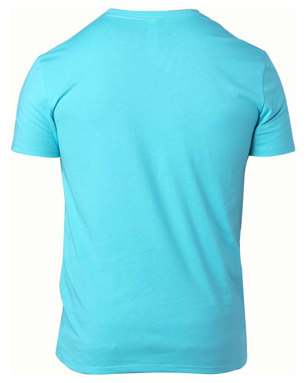Threadfast Apparel 100A Unisex Ultimate CVC T-Shirt in Pacific Blue, back